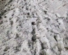 Тротуары не чищены от снега