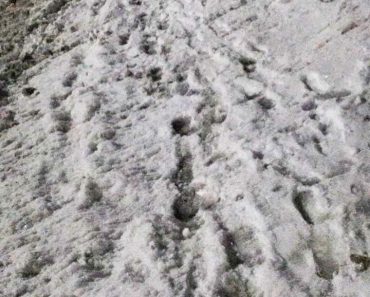 Тротуары не чищены от снега