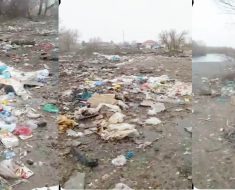 Возле реки Каратал, перед мостом, вот такая стихийнай свалка. Все в мусоре!