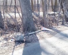 Вырванный из земли дорожный знак уже две  недели валяется возле «Парка Ветеранов».