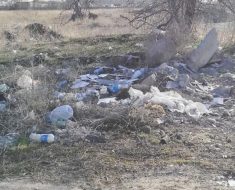 В поле, рядом с Госплемстанцией, образовалась мусорная свалка.