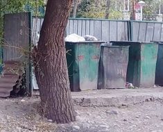 Почему наш дом, по ул.Шевченко 140, окружают мусорки?