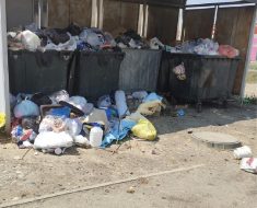 Лето, жара, в 7 м/н по ул.Бейкен   Ашимовой 17, 13  переполнен мусорный контейнер и вокруг много мусора.