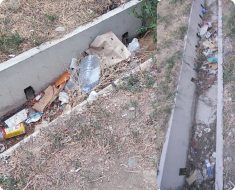 От остановки «Алатау» по всей ул.Ракишева  в арыках мусор.