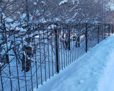 По ул.Каблиса жырау, около института «Темирказык», из ограды угрожающе торчат ветки и снег не убрали, невозможно ходить.